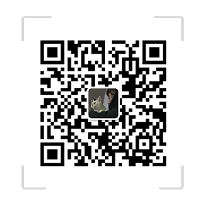 保险人代理网站512(msbxzp.cn)